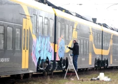 После "атаки" граффитистов охрана поездов в Вагонном парке будет усилена