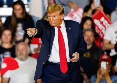 Donalds Tramps