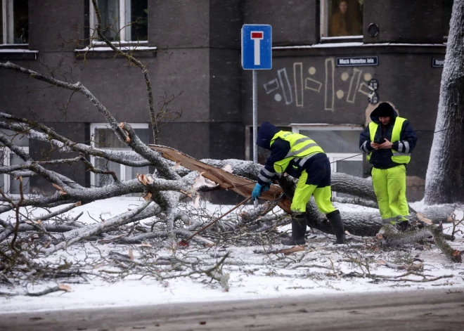 Pirmdien spēkā oranžais brīdinājums: apledojuma dēļ var lūzt koki