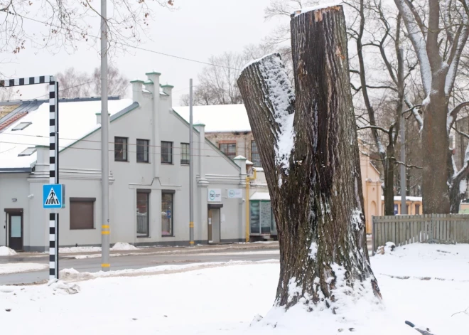 Slokas ielā ieviestas satiksmes izmaiņas