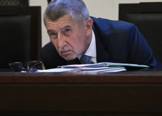 Babišs tika apsūdzēts divu miljonu eiro izkrāpšanā no ES, saņemot subsīdijas lauku īpašumam "Stārķu ligzda".