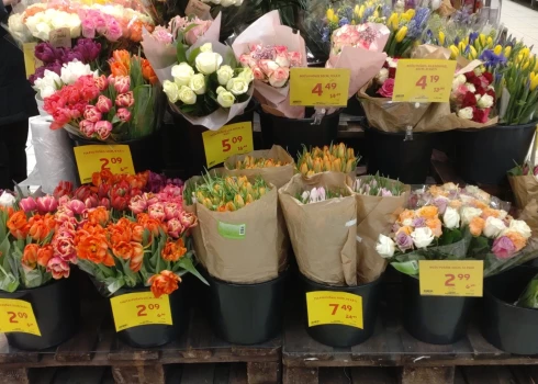 Pēc Valentīndienas pamatīgi nokritušās “uzskrūvētās” ziedu cenas