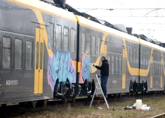 От 700 до 1200 евро - вот сколько стоит отмыть новый электропоезд от граффити