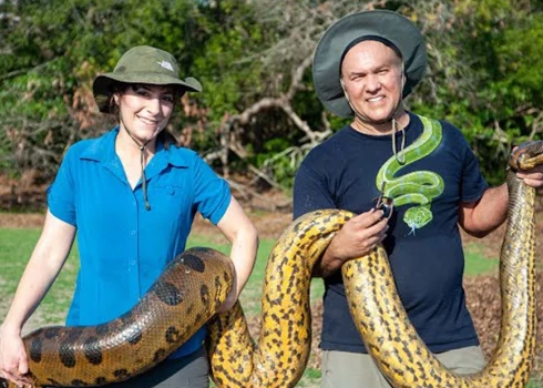 Amazonē atklāta jauna "pasaules smagākās čūskas" suga
