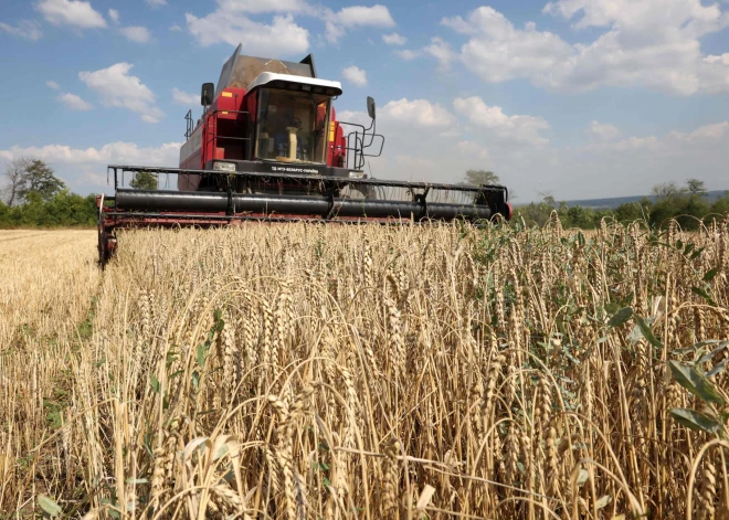 Zemnieki: ar Krievijas un Baltkrievijas lauksaimniecības produkcijas importa liegumu Latvijas mērogā būs par maz