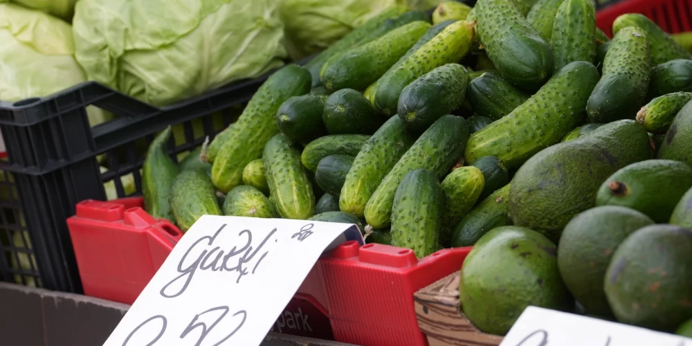 Latvijas dārzeņu eksperte skaidro, kā veikalos pazīt Krievijas gurķus