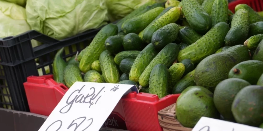 Вражеские огурцы в латвийских магазинах! Эксперт объясняет, как распознать российские овощи