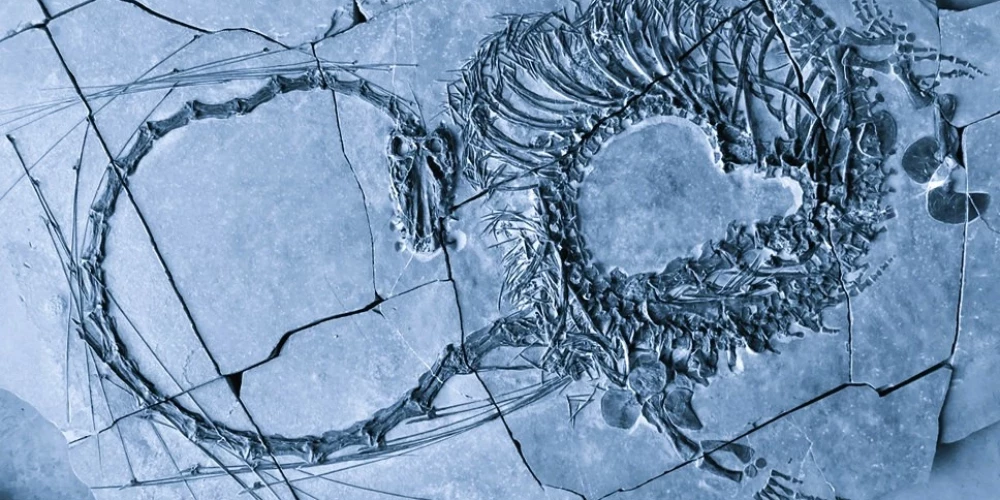Zinātnieki atklājuši 240 miljonus gadus vecu, pūķim līdzīgu rāpuli