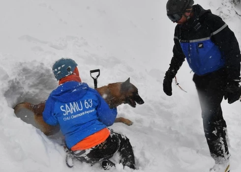 Трагедия в горах Франции: лавина унесла жизни четырех лыжников