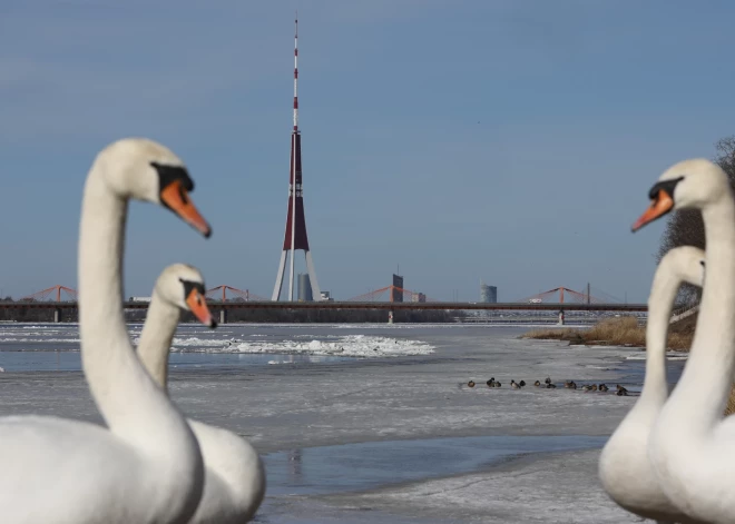 Порадует ли нас погода в первый день весны?