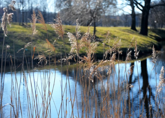 Tuvākajā nedēļā bieži spīdēs saule