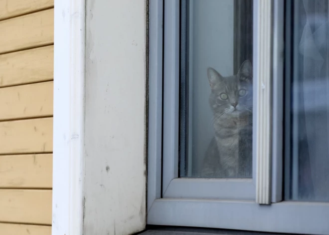 Жители в документах уже могут использовать недавно измененные названия улиц Риги