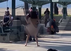 Jauniete "Ievas kostīmā" cīkstās ar vāli vicinošu dāmu; pludmales apmeklētājiem mutes vaļā