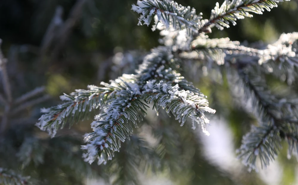 Cloudy Skies and Mild Temperatures Expected in Latvia, Riga Weather Forecast for March 7