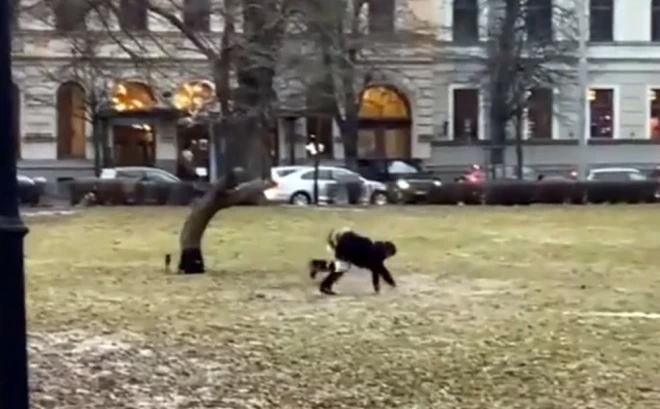 Jaunietes izdarības Rīgas centrā pārsteidza daudzus.