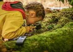 Vairāk nekā 100 meža izziņas pieturās būs iespēja iepazīt meža audzēšanas ciklu.