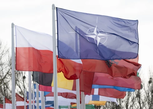 Polijas karogs NATO militāro mācību laikā.