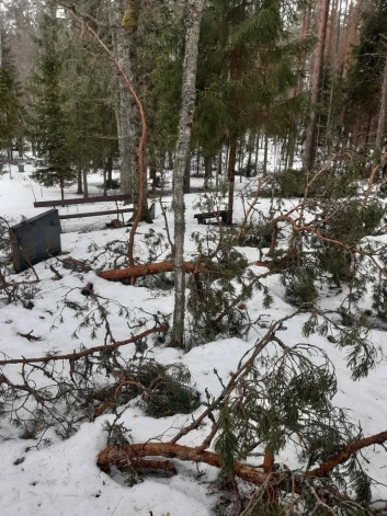 Pēc ziemas Alūksnes novada kapsētās parādījusies neiepriecinoša aina – lūzuši koki un zari (attēlē – Ezeriņu kapi Annas pagastā).