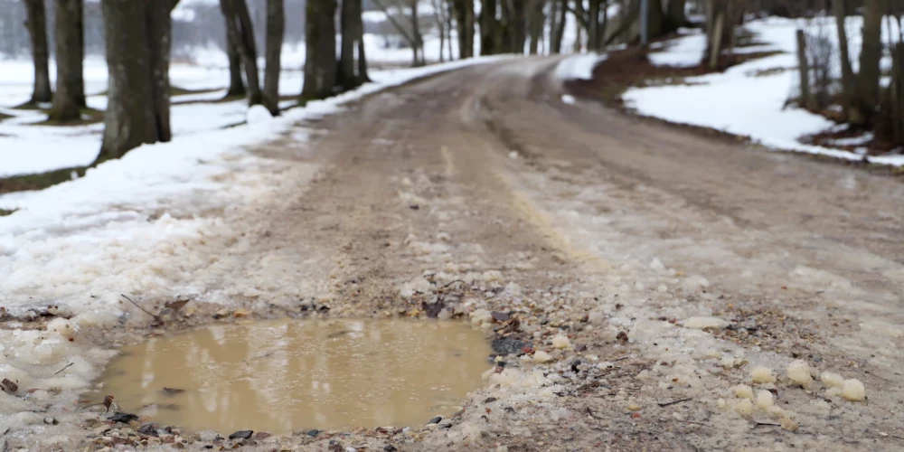 Уборка дорог после зимы идет медленно, у жителей обостряется аллергия - у Рижской думы есть оправдание
