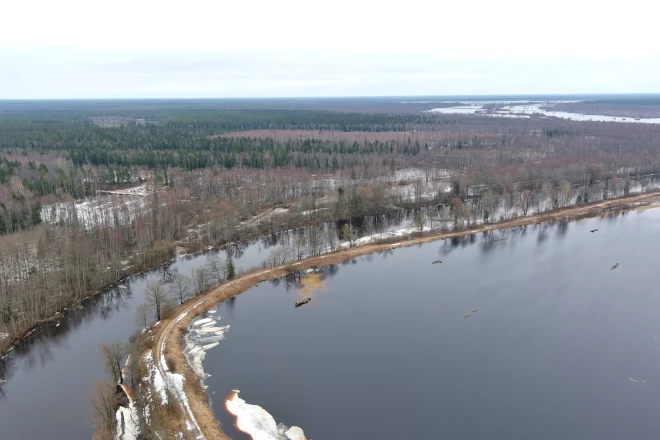 Aiviekste palu laikā – skats no drona (Madonas novada mežos).