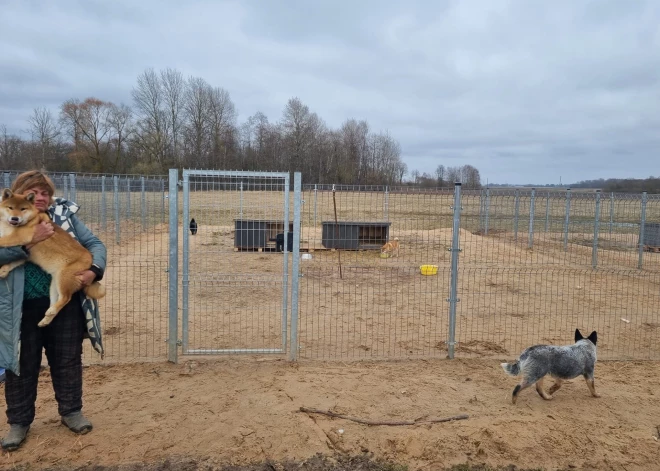 Bauskas novadā izņemtajiem suņiem nekas nav kaitējis