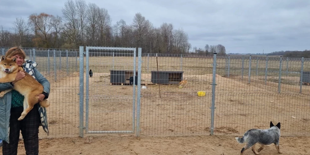 No Bauskas novada dzīvnieku audzētavas izņemtie suņi atraduši jaunas pagaidu mājvietas