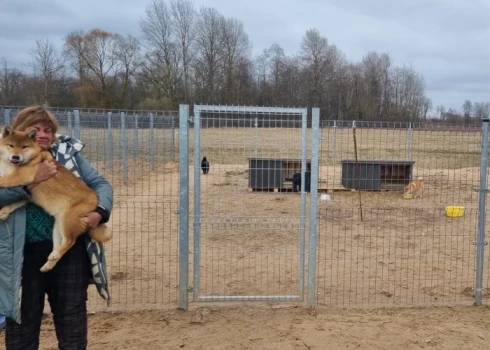 No Bauskas novada dzīvnieku audzētavas izņemtie suņi atraduši jaunas pagaidu mājvietas