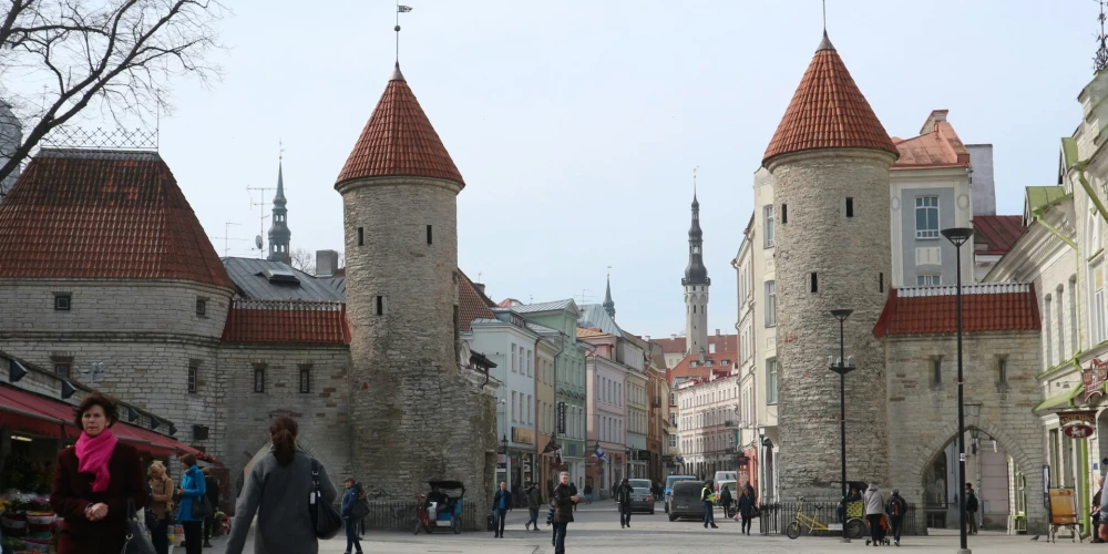 Правительство Эстонии не поддержало законопроект о лишении граждан РФ и Беларуси права голоса