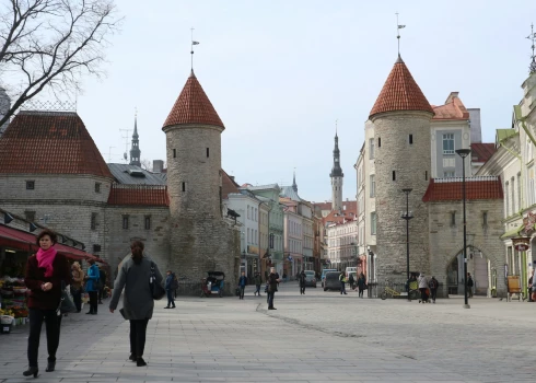 Правительство Эстонии не поддержало законопроект о лишении граждан РФ и Беларуси права голоса