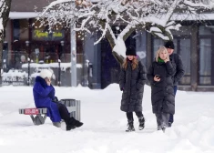 Последний удар зимы! На Латвию надвигается циклон с обильным снегом - он может ломать ветки деревьев