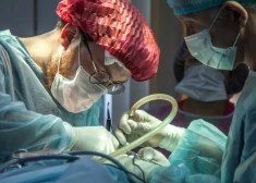 Человеку впервые пересадили свиную почку - новая надежда для нуждающихся в органах пациентов