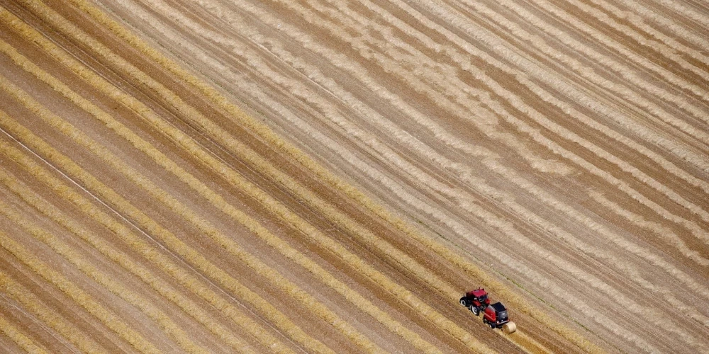 ЕС придумал, как ограничить оборот российской и белорусской сельскохозяйственной продукции