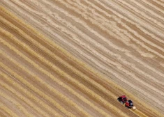 ЕС придумал, как ограничить оборот российской и белорусской сельскохозяйственной продукции