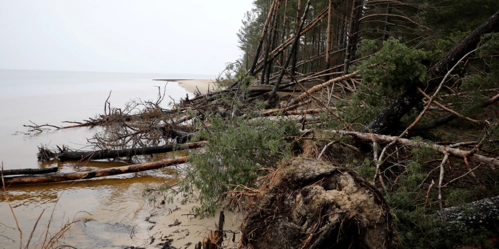 Изменение береговой линии необратимо - Латвия потеряет десятки метров территории