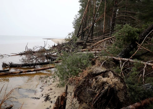 Изменение береговой линии необратимо - Латвия потеряет десятки метров территории