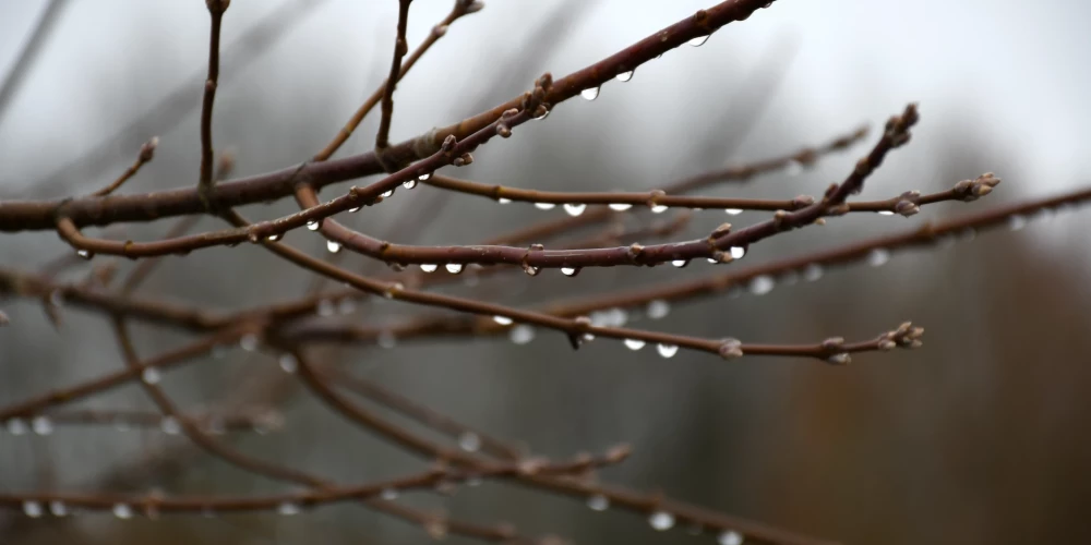 В Латвии в воскресенье ожидается дождь и даже мокрый снег