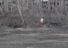 VIDEO: ukraiņu specvienības snaiperi parāda, kā viņi Avdijivkas virzienā iznīcina iebrucējus