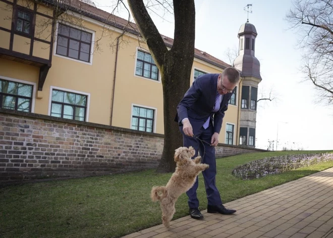 Īsi pirms Lieldienām Edgars Rinkēvičs paziņoja, ka Rīgas pils dārzā ticies ar saviem padomniekiem, kuru starpā bija arī suņuks.