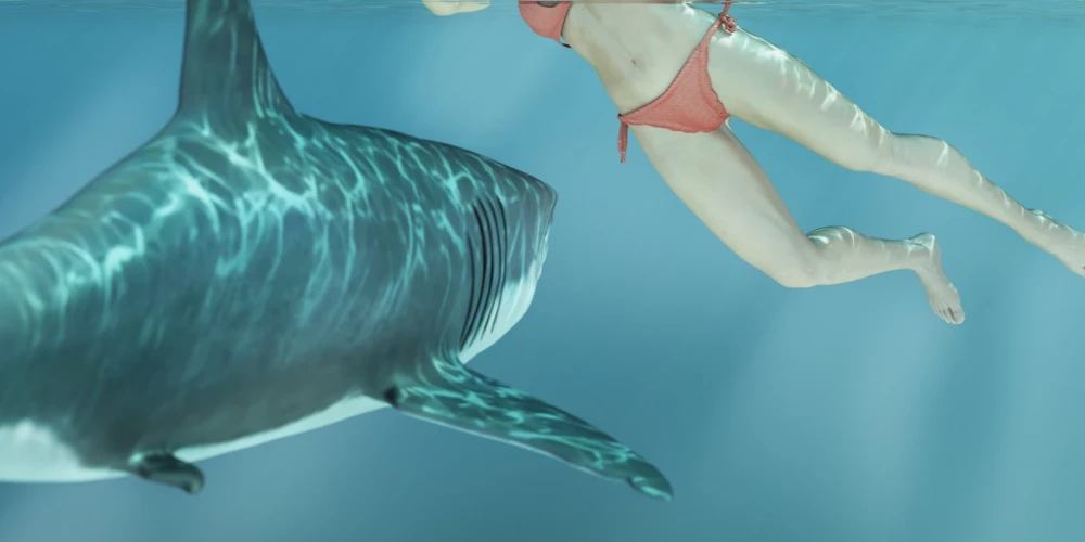 На египетских курортах устанавливают защитные сетки от акул