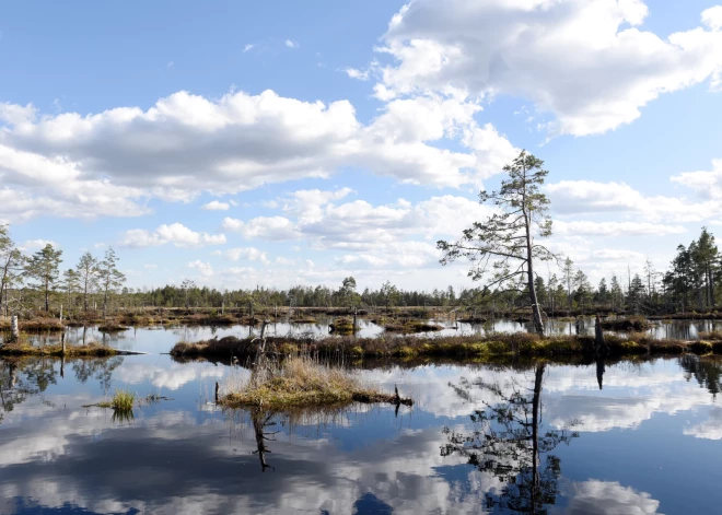 Jaunā darba nedēļa sāksies ar nokrišņiem bagātu un vējainu laiku