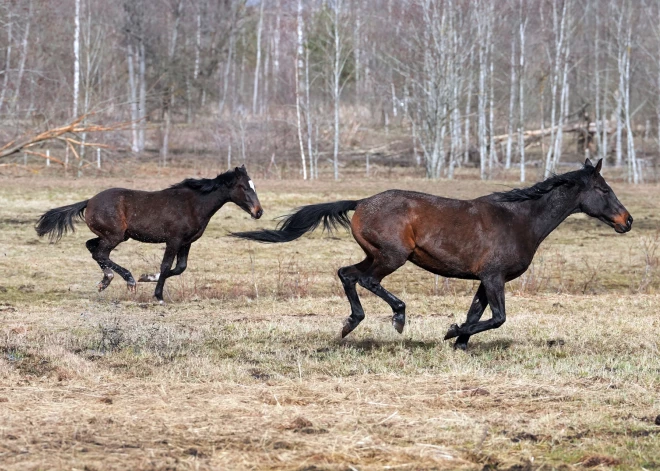 Pagājušajā mēnesī Latvijā pārspēti 53 siltuma rekordi