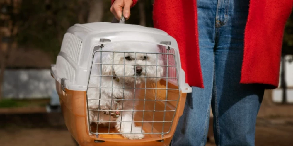 Sākot ar kucēniem, līdz ceļojumu draugiem: katrai vajadzībai piemērots suņu būris 