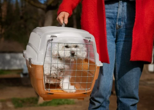 Sākot ar kucēniem, līdz ceļojumu draugiem: katrai vajadzībai piemērots suņu būris 