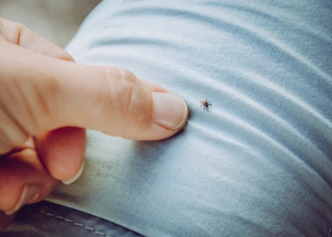 Svarīgākās lietas, kas jāievēro, lai pasargātu sevi no ērcēm