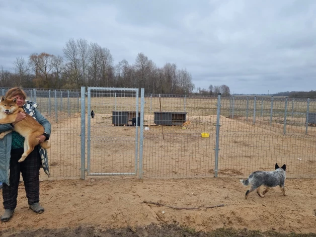 “Lieldeviņzarē” suņi uzturējās voljēros uz lauka.