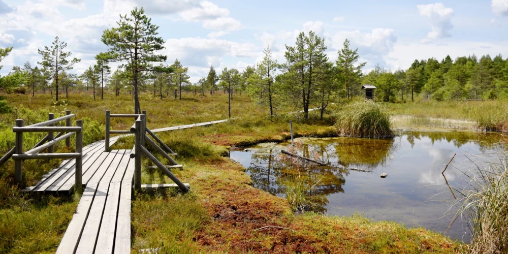 Правда ли, что зловоние серных вод Кемери испортило воздух в Хельсинки? Комментирует управление охраны природы