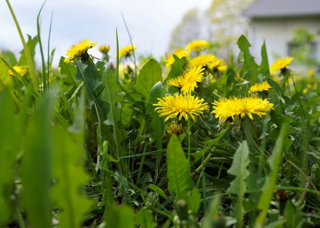 Latvijā pārspēti kārtējie temperatūras rekordi!