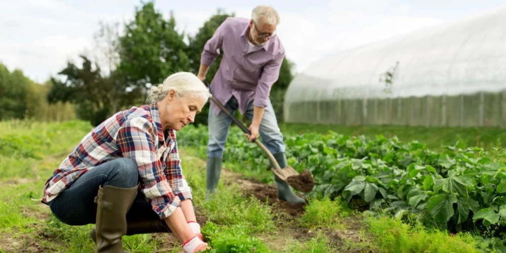Kā sagatavoties dārza darbiem, lai nenodarītu pāri savai veselībai?