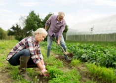 Kā sagatavoties dārza darbiem, lai nenodarītu pāri savai veselībai?