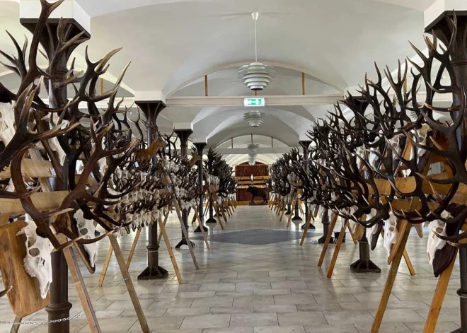 Vairāk nekā 500 trofeju! Jaunmoku pilī skatāma medību trofeju izstāde